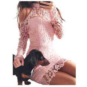 Bear Shoulder High Neck Long Sleeves Short Lace Dress