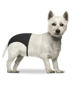 Duvo - Dog Pants