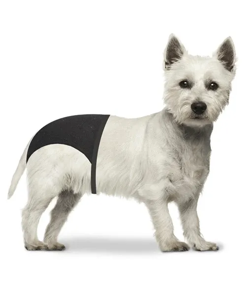 Duvo - Dog Pants