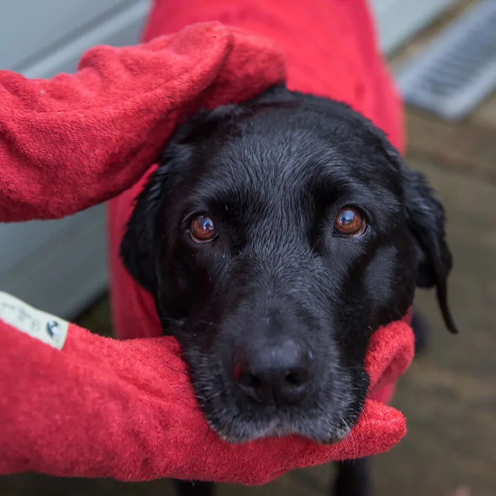 Ruff and Tumble Drying Mitts
