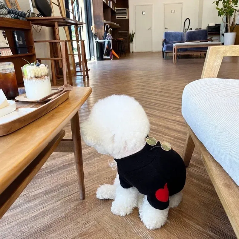 Spring Puppy Sweatshirt | Fashion Dog Hoodies & Thin Vests | Chihuahua & French Bulldog Costumes | Pet Undershirts for Dogs & Cats